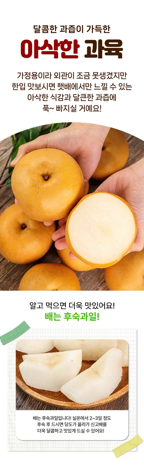 국내산 가정용 신고배, 3kg, 1박스 상세 이미지 3