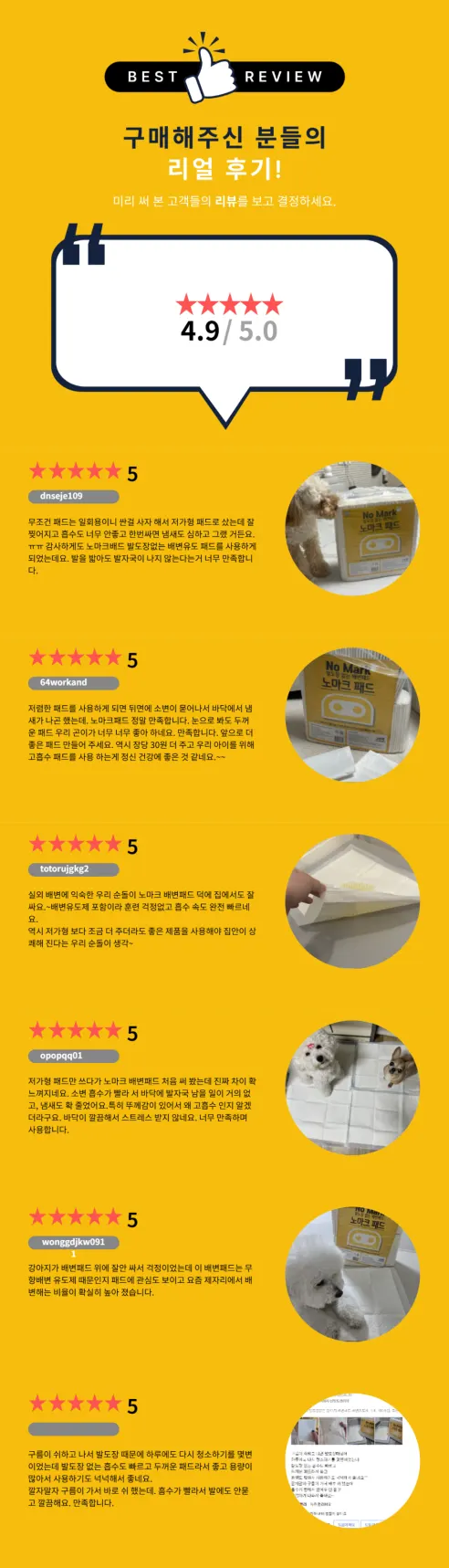노마크 배변패드, 표준형 고흡수, 100매, 2개 상세 이미지 2
