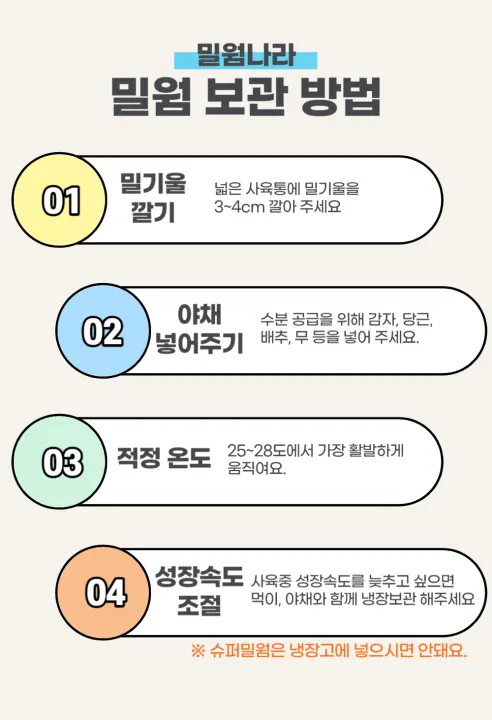 살아있는 밀웜 반려동물 먹이 극소 100+100, 밀웜,극소 0.3-0.8cm, 100+100마리 상세 이미지 9
