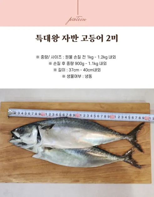 국내산 부산 자반고등어, 대, 3.1-3.7kg, 10마리 상세 이미지 5