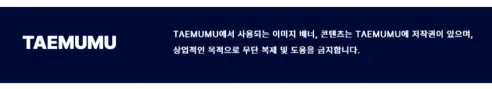 TAEMUMU 물놀이 암튜브, 25~80kg, 포레스트, 1개 상세 이미지 1