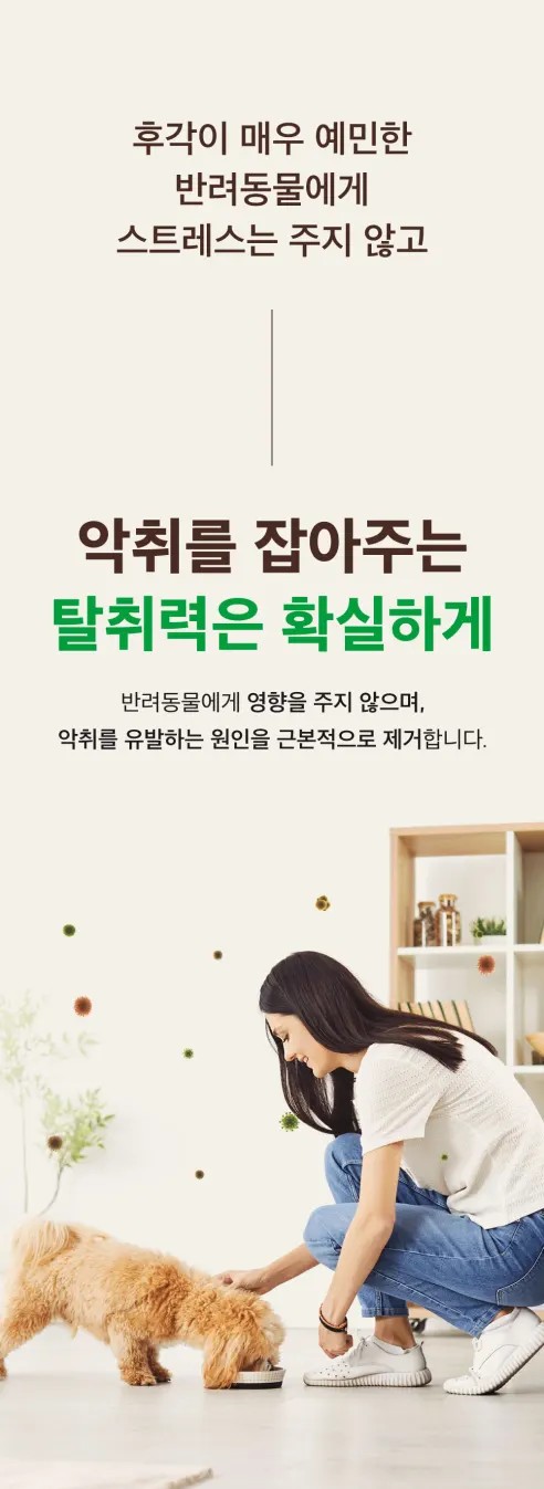 펫케아 강아지 탈취제 피톤치드 천연 스프레이, 공병, 2L, 1개 상세 이미지 8