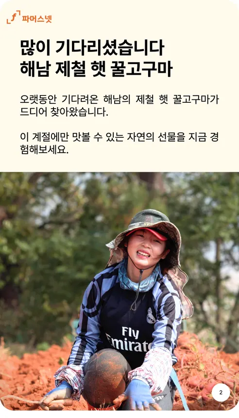 파머스넷 해남 꿀고구마, 한입, 5kg, 1박스 상세 이미지 2
