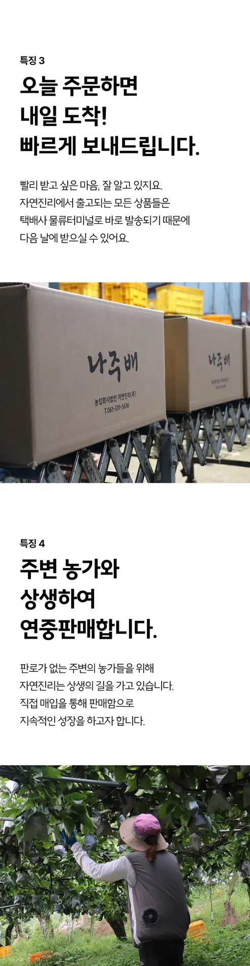 자연진리 나주 신고배, 가정용, 8-9과, 5kg, 1박스 상세 이미지 7
