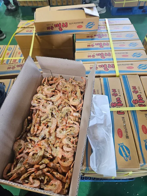 국내산 알배기 건중하새우포, 1.3kg, 1박스 상세 이미지 3