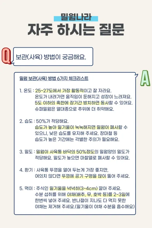 살아있는 밀웜 반려동물 먹이 극소 100+100, 밀웜,극소 0.3-0.8cm, 100+100마리 상세 이미지 12