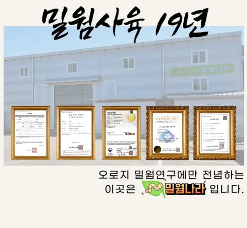 살아있는 밀웜 반려동물 먹이 극소 100+100, 밀웜,극소 0.3-0.8cm, 100+100마리 상세 이미지 18