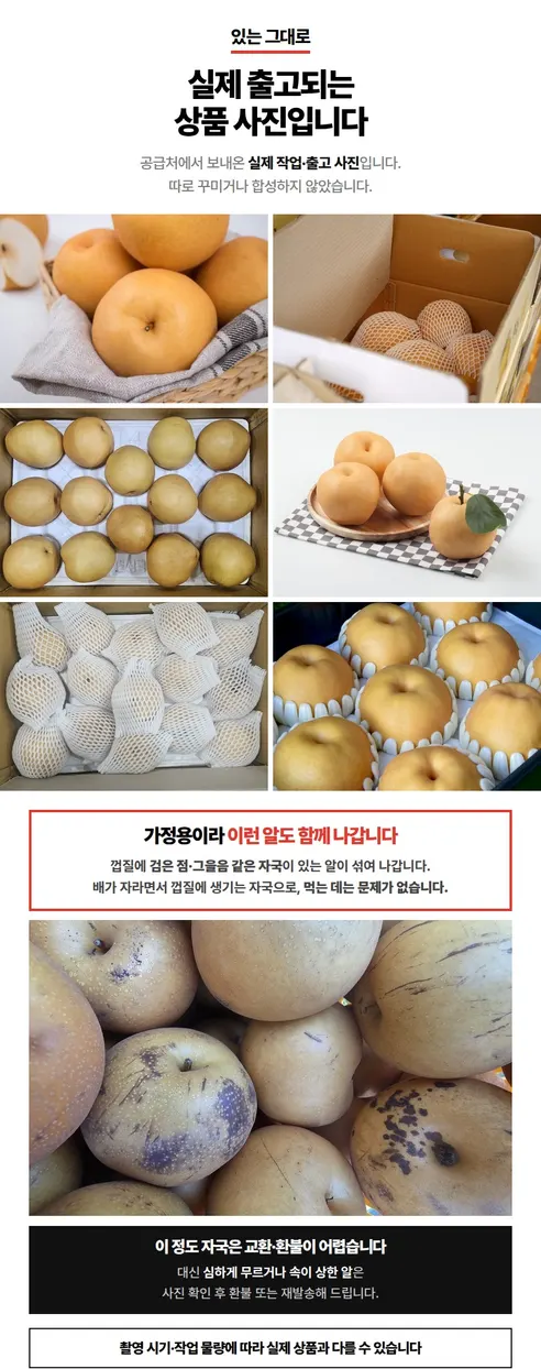 햇배, 5kg, 1박스 상세 이미지 8