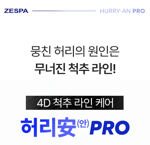 제스파 허리안 프로 마사지기 ZP5824, 1개 상세 이미지 1
