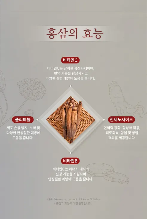 웰니스바이오 홍삼진액365, 10g, 100포, 1박스 상세 이미지 11