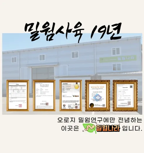 밀기울 - 밀웜(고소애) 먹이 / 각종 곤충먹이, 1kg + 1kg 상세 이미지 6