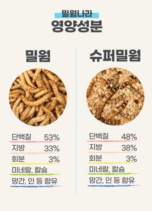 살아있는 밀웜 반려동물 먹이 극소 100+100, 밀웜,극소 0.3-0.8cm, 100+100마리 상세 이미지 8