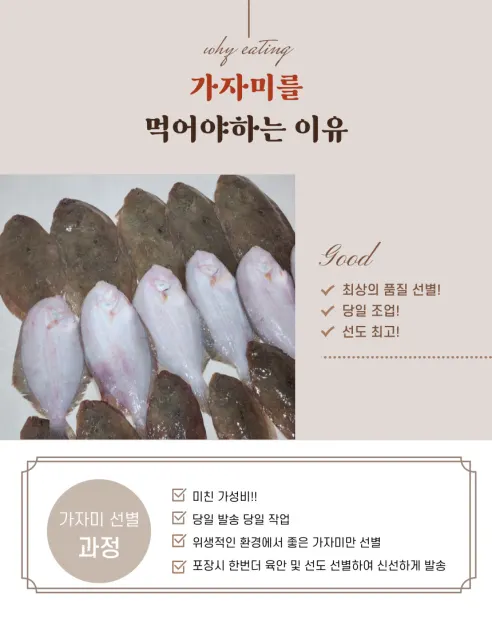 국내산 생물 가자미, 4kg, 1개 상세 이미지 5
