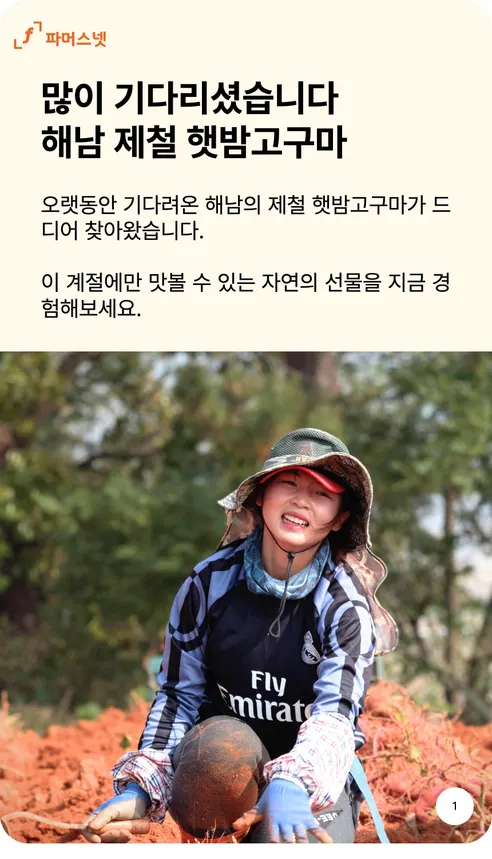 파머스넷 해남 햇 밤고구마, 한입, 5kg, 1박스 상세 이미지 1