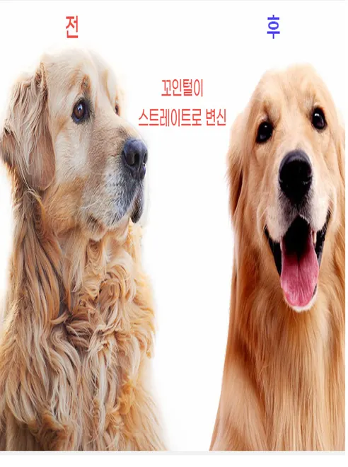 피부 무손상 모찌빗, 핑크, 1개 상세 이미지 5