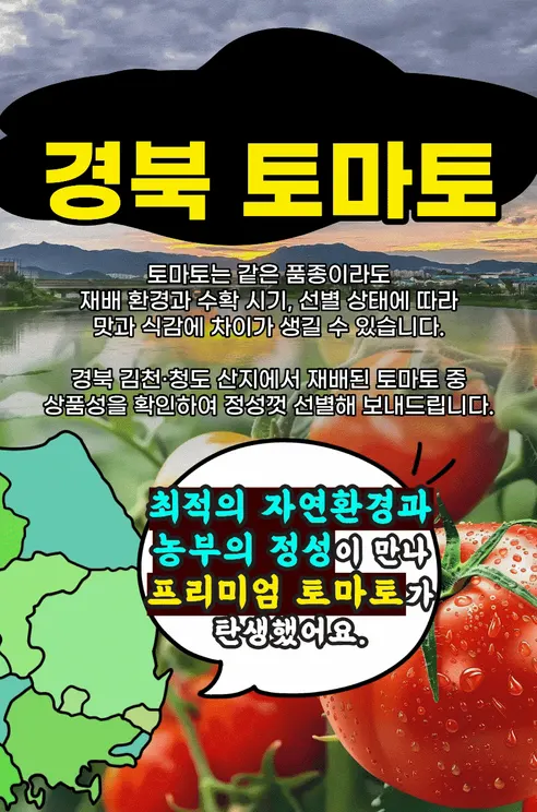 경북 완숙토마토 찰토마토, 5kg, 1박스 상세 이미지 3