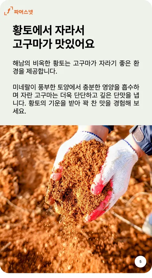 파머스넷 해남 햇 밤고구마, 한입, 5kg, 1박스 상세 이미지 5