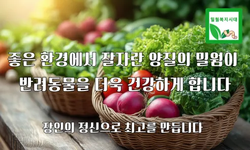 살아있는 밀웜 반려동물 먹이 극소 100+100, 밀웜,극소 0.3-0.8cm, 100+100마리 상세 이미지 1