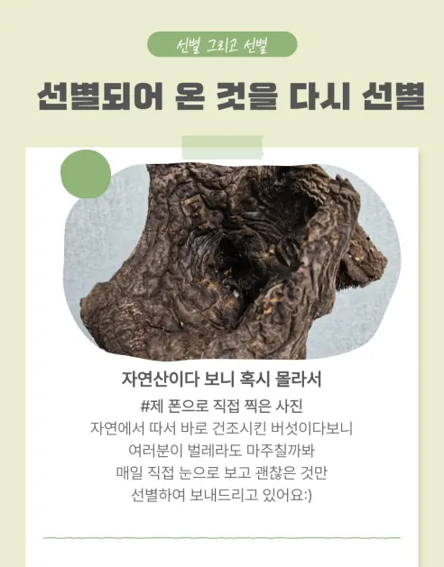 프룻프룻 건조 능이버섯, 100g, 1개 상세 이미지 7