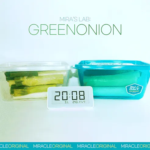 미라네주방 미라클통, 오리지널, 320ml, 1개 + 황토, 1.8L, 1개 + 미라클 샘플러 3매 세트, 1세트 상세 이미지 7