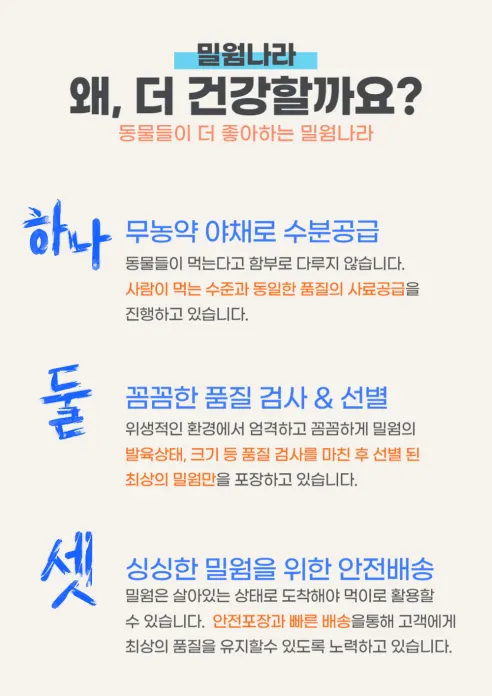 살아있는 밀웜 반려동물 먹이 극소 100+100, 밀웜,극소 0.3-0.8cm, 100+100마리 상세 이미지 6