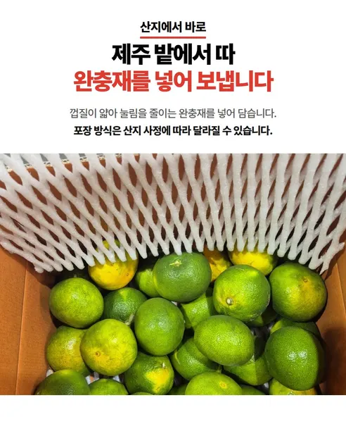 산지직송 제주 조생감귤, L-2L, 10kg, 1박스 상세 이미지 8