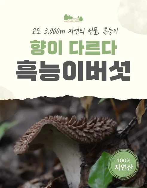 프룻프룻 건조 능이버섯, 100g, 1개 상세 이미지 1