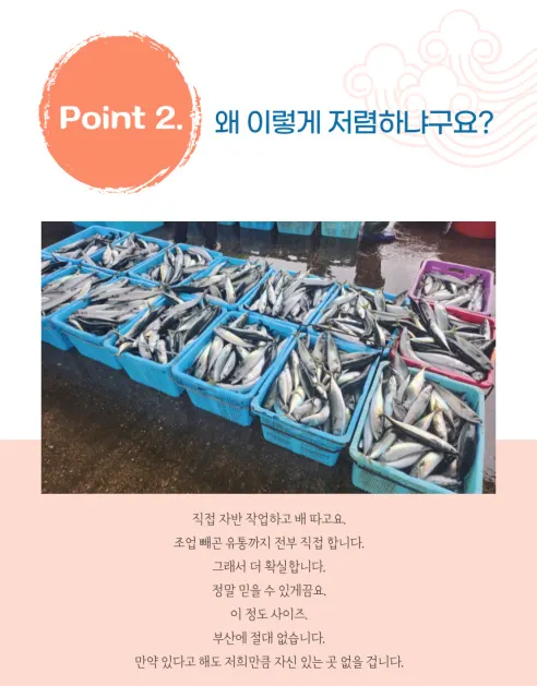 국내산 부산 자반고등어, 대, 3.1-3.7kg, 10마리 상세 이미지 8