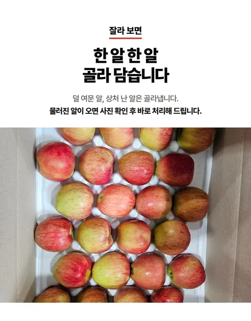 홍로사과, 대과, 5kg, 1박스 상세 이미지 6