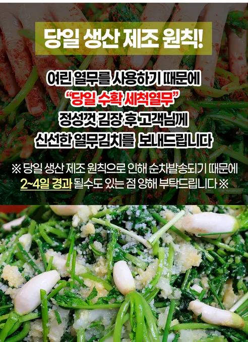 전라도 전통 여린 열무김치, 3kg, 1박스 상세 이미지 6
