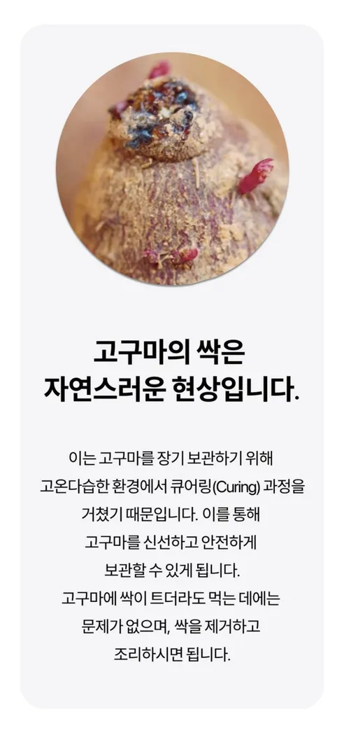 파머스넷 해남 꿀고구마, 한입, 5kg, 1박스 상세 이미지 12