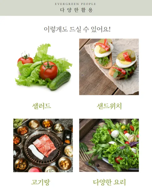 로메인 청상추, 1kg, 1박스 상세 이미지 4