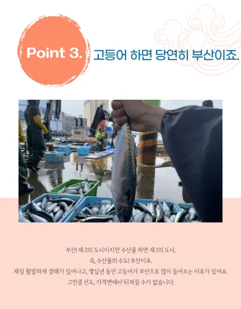 국내산 부산 자반고등어, 대, 3.1-3.7kg, 10마리 상세 이미지 9