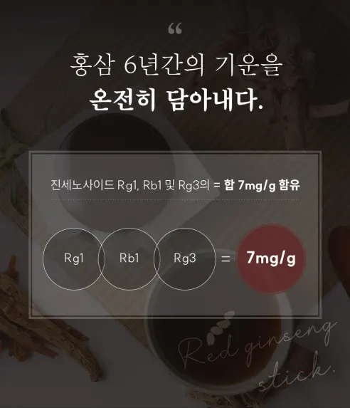 웰니스바이오 홍삼진액365, 10g, 100포, 1박스 상세 이미지 3