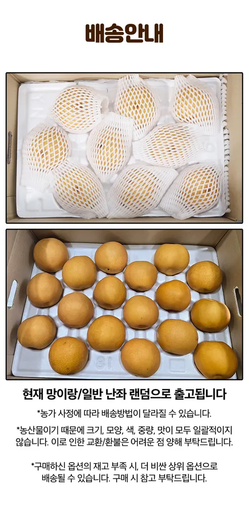 국내산 가정용 신고배, 3kg, 1박스 상세 이미지 8