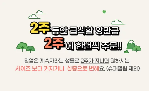 살아있는 밀웜 반려동물 먹이 극소 100+100, 밀웜,극소 0.3-0.8cm, 100+100마리 상세 이미지 10