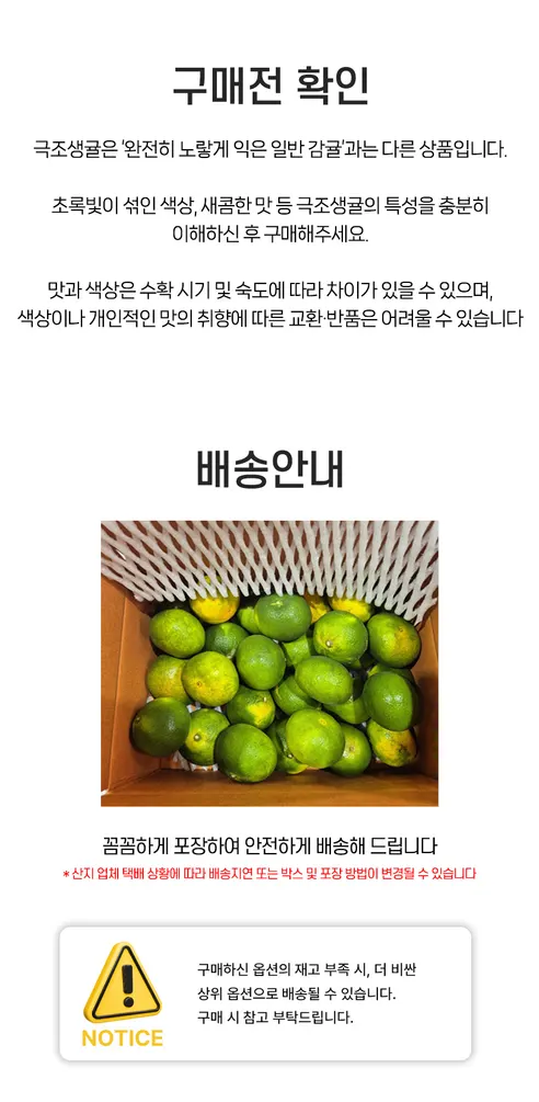 제주 서귀포 노지 감귤 극조생귤, 5kg, 1박스 상세 이미지 8
