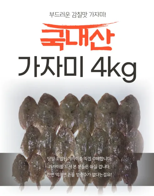 국내산 생물 가자미, 4kg, 1개 상세 이미지 2