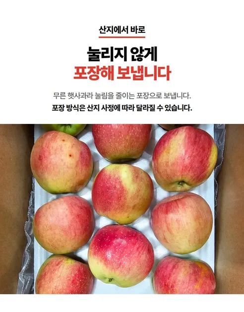 홍로사과, 대과, 5kg, 1박스 상세 이미지 7