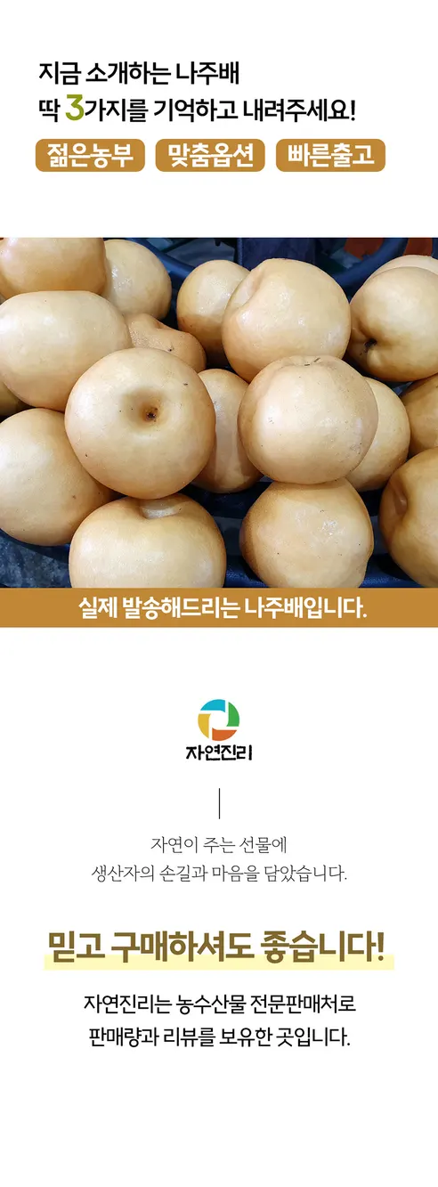 자연진리 나주 신고배, 가정용, 8-9과, 5kg, 1박스 상세 이미지 2