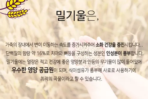 밀기울 - 밀웜(고소애) 먹이 / 각종 곤충먹이, 1kg + 1kg 상세 이미지 3
