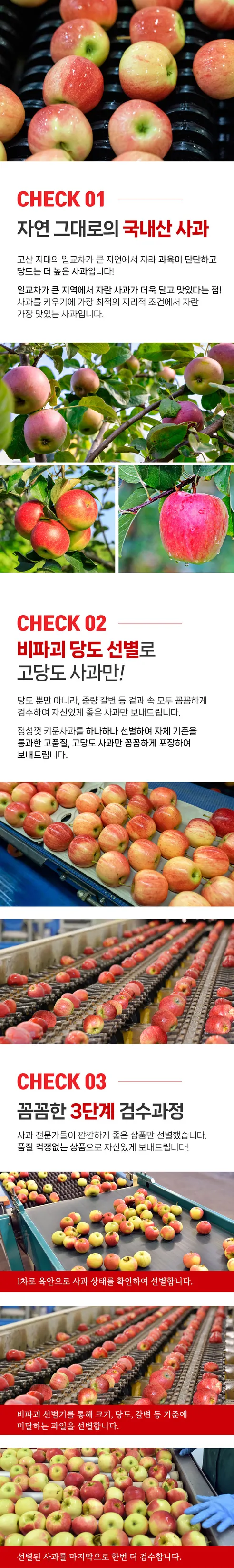 홍로사과 햇사과, 5kg, 1개 상세 이미지 5