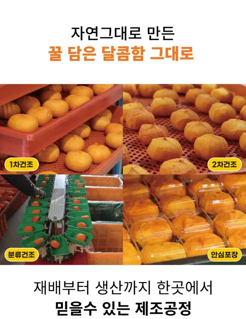 대한민국농수산 청도 반건시 선물세트, 일반형, 중과, 20구, 1세트 상세 이미지 16