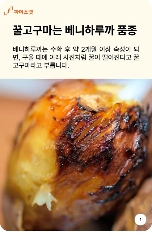 파머스넷 해남 꿀고구마, 한입, 5kg, 1박스 상세 이미지 1