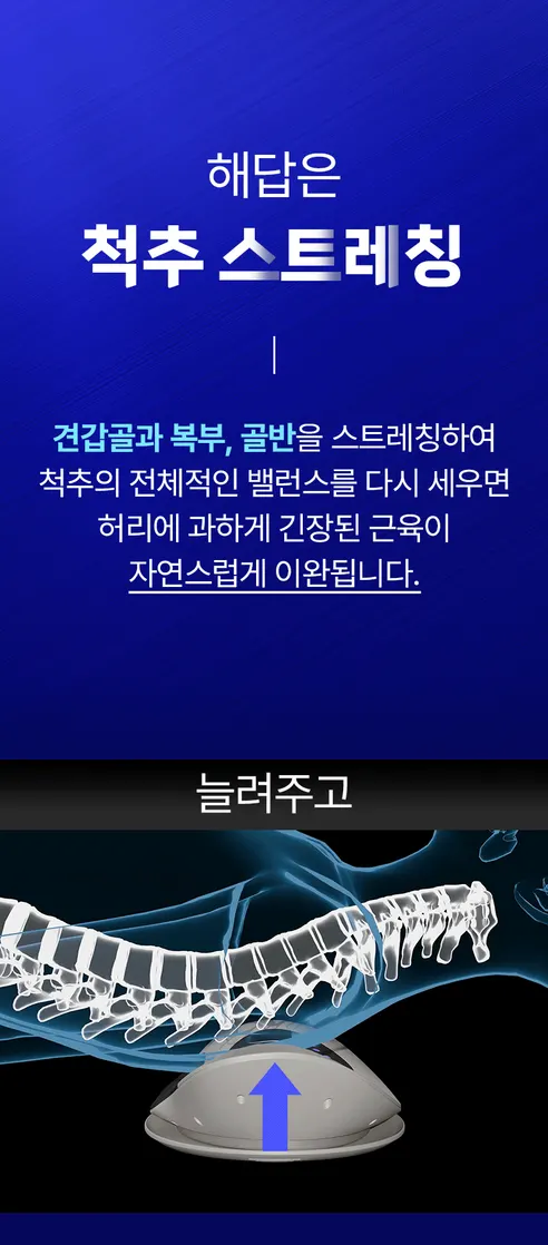 제스파 허리안 프로 마사지기 ZP5824, 1개 상세 이미지 7
