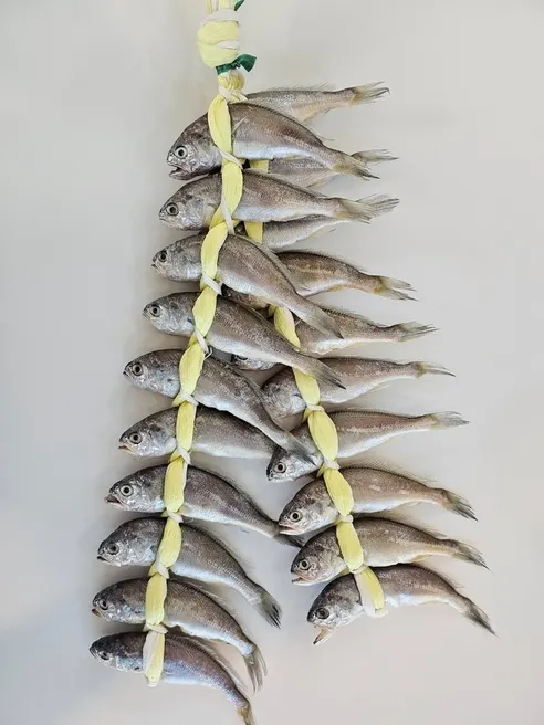법성포 영광 굴비, 대, 17-21cm 내외, 20미, 1박스 상세 이미지 7