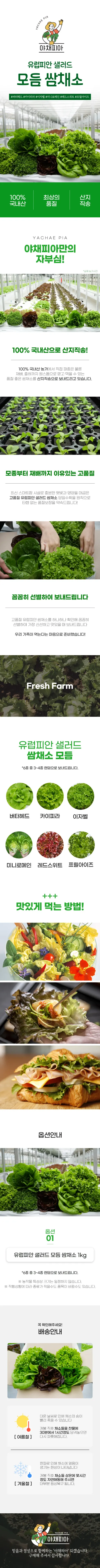 야채피아 유럽피안 샐러드 모듬 쌈채소, 1kg, 1개 상세 이미지 1
