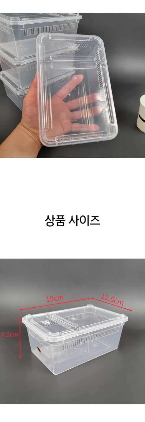 하루이오 파충류 크레스티드 게코 도마뱀 사육장 H9, 중형 상세 이미지 7