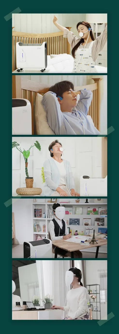 자이글온 산소이온발생기 숲속, 화이트, 1개 상세 이미지 7