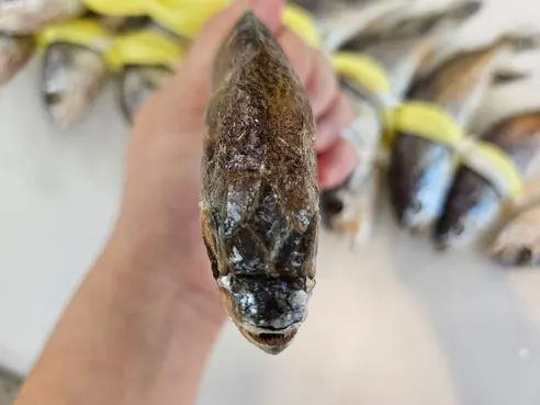 법성포 영광 굴비, 대, 17-21cm 내외, 20미, 1박스 상세 이미지 12